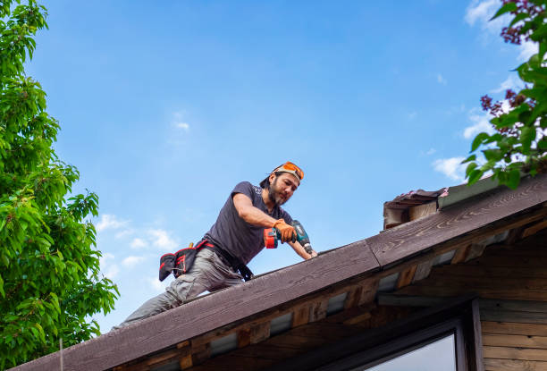 Best Sheet Metal Roofing  in Diablo Grande, CA